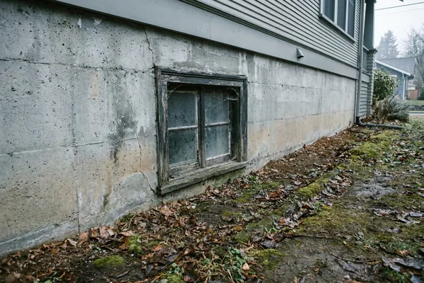 Sehome small dark non-egress basement window before